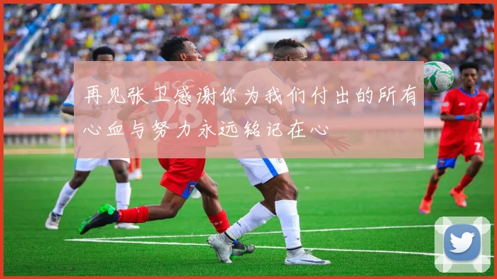 再见张卫感谢你为我们付出的所有心血与努力永远铭记在心