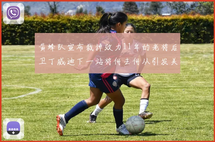 黄蜂队宣布裁掉效力11年的老将后卫丁威迪下一站将何去何从引发关注