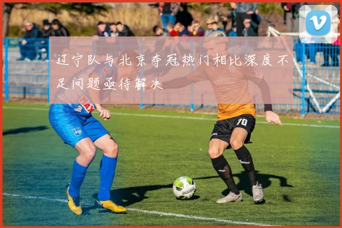 辽宁队与北京夺冠热门相比深度不足问题亟待解决