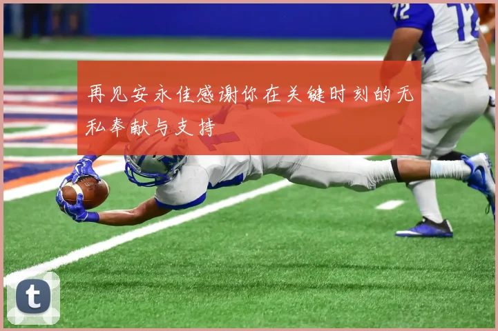 再见安永佳感谢你在关键时刻的无私奉献与支持