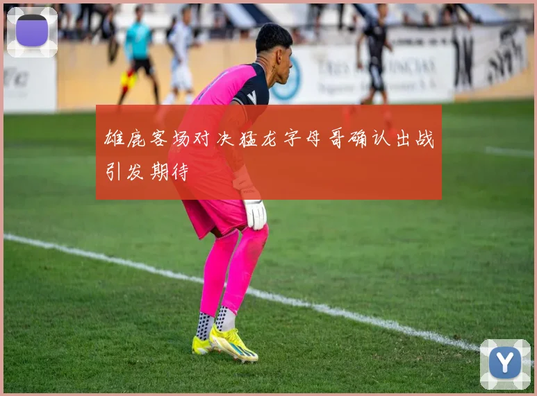 雄鹿客场对决猛龙字母哥确认出战引发期待