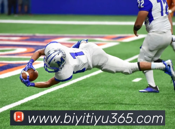 必一体育平台生态图